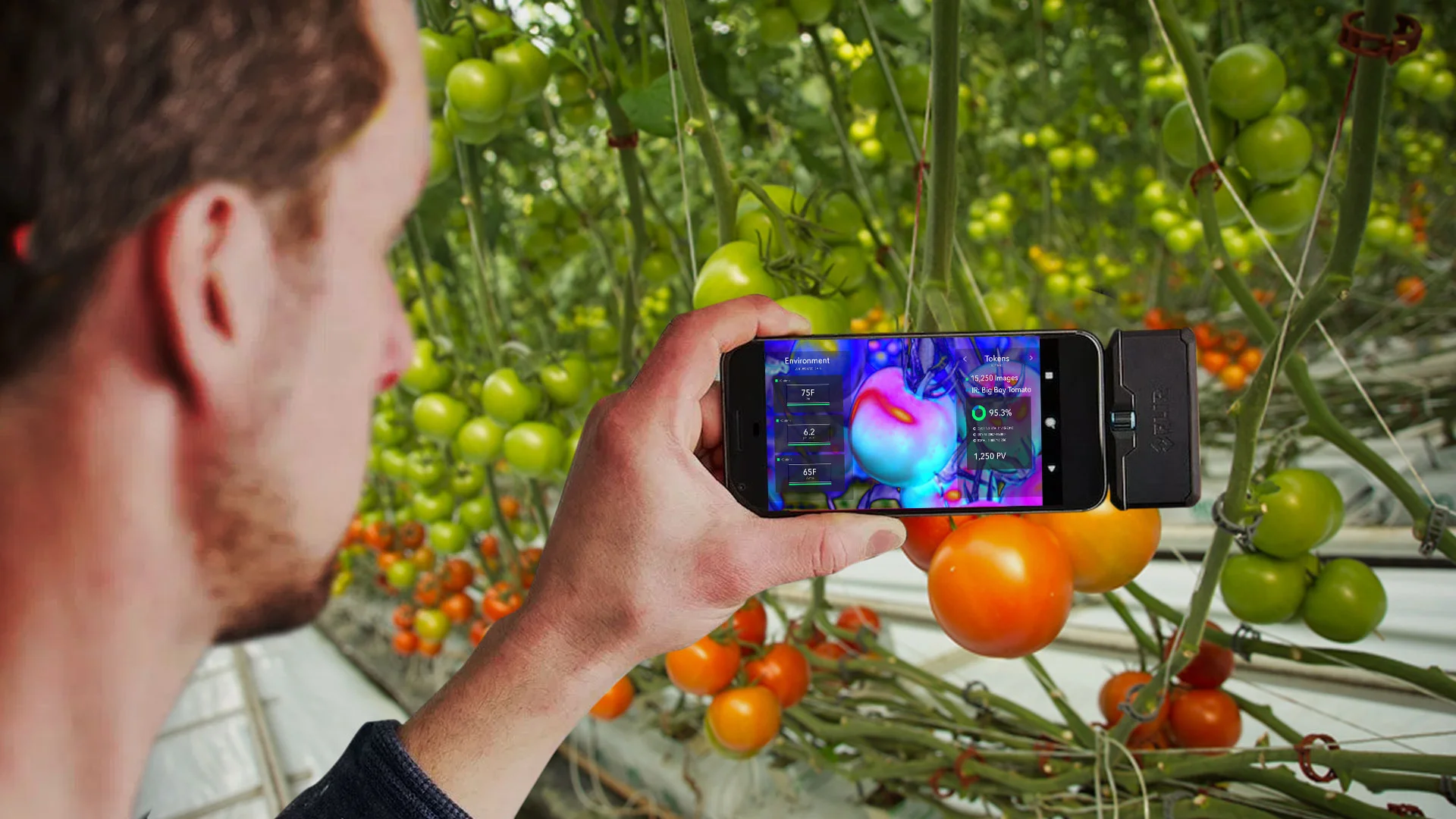 Plant Vision AR overlay on a Dutch tomato vine. Big Boy Tomato 95.3 percent, environment and token readouts pulled live off the plant.